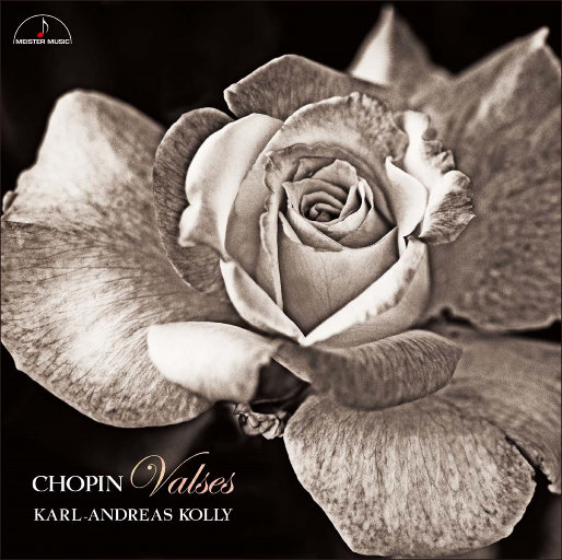 日本最新黄色网页
